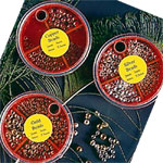 Bead Dispensers & Beads