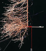 Hackle Flash 