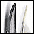 Quills